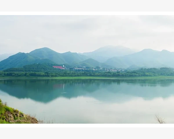 胃疼穴位按摩哪个穴位治