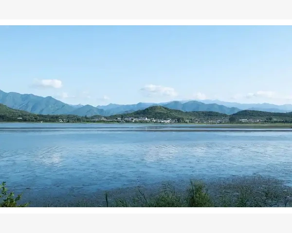 健脾胃营养汁，轻松调理肠胃，焕发活力身体